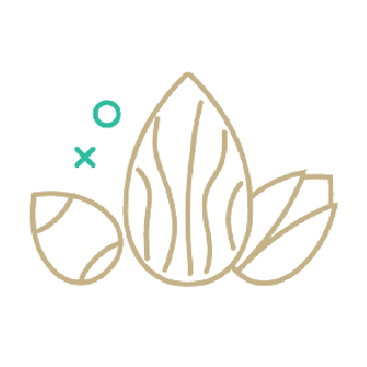 مای آجیل