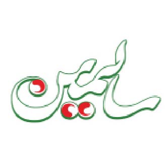 سالمین